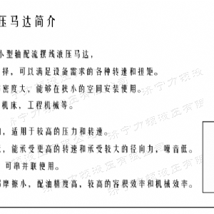 1XBET(中国)一站式服务平台后油口系列马达