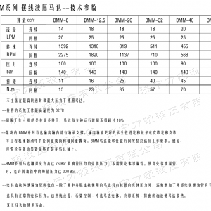 1XBET(中国)一站式服务平台后油口系列马达