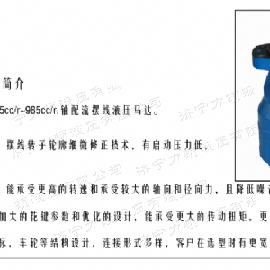 BMH系列并列油口1XBET官网平台马达