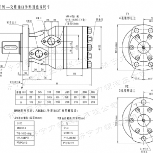 BMH系列交错油口1XBET官网平台马达